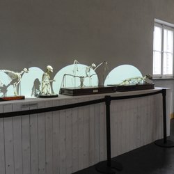 Livets museum - Livets museum