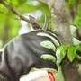 Photo of Infinite Landscapes