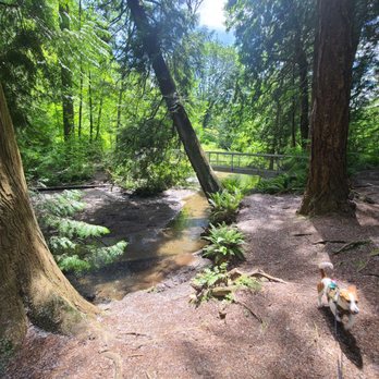 Eagle Scout Park - Parks Near Me - Lake Forest Park, Washington Eagle Scout Park - Parks Near Me - Lake Forest Park, Washington
