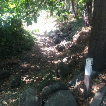 Markham Nature Park & Arboretum - Parks Near Me - Concord, California