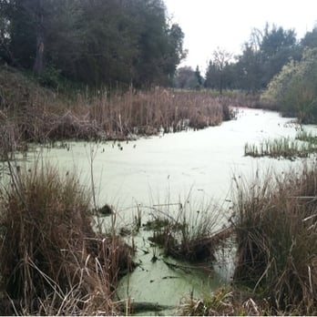 Effie Yeaw Nature Center - Visitor Centers Near Me - Carmichael, California