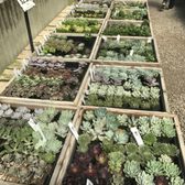 Half Moon Bay Nursery 383 Photos 190 Reviews Nurseries Half Moon Bay Nursery 383 Photos 190 Reviews Nurseries