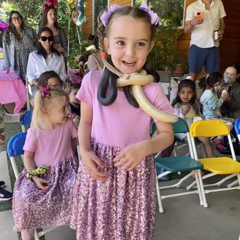 PUPPIES AND REPTILES FOR PARTIES - 146 Photos & 129 Reviews - Torrance