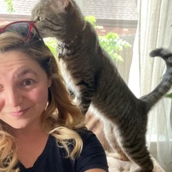 Pawsitive Vibes Petcare - Katie, Owner, with a cat client sniffing her hair right before trying to steal her glasses