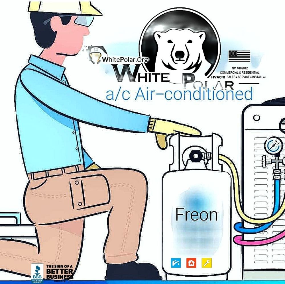 Slide of White Polar