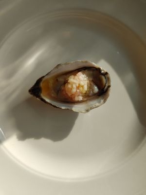 Bar Blondeau by null