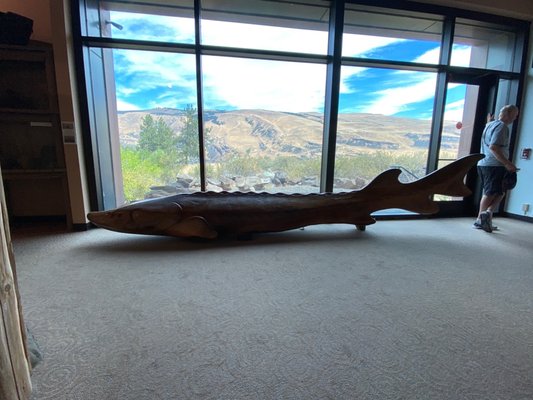 Columbia Gorge Discovery Center & Museum by null