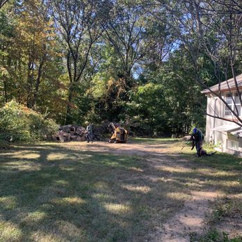 Arbormasters - a group of trees in a yard - Tree Services Near Me - Owings Mills, Maryland