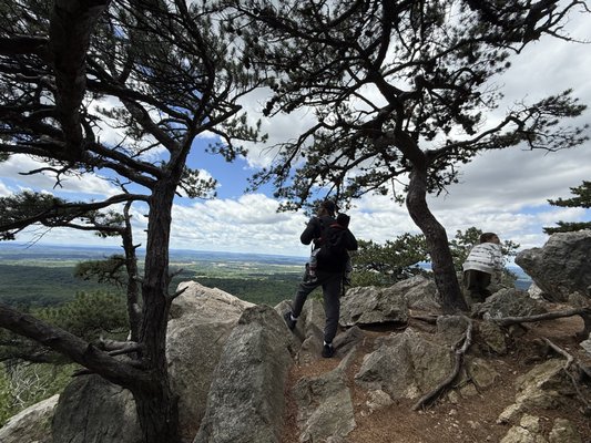 Sugarloaf Mountain by null