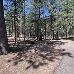 Sinkhole Campground - Picnic table and fire pit at site 14.