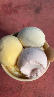 Daintree Ice Cream Company by null