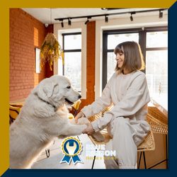 Blue Ribbon Cooling, Heating, Plumbing, & Electrical