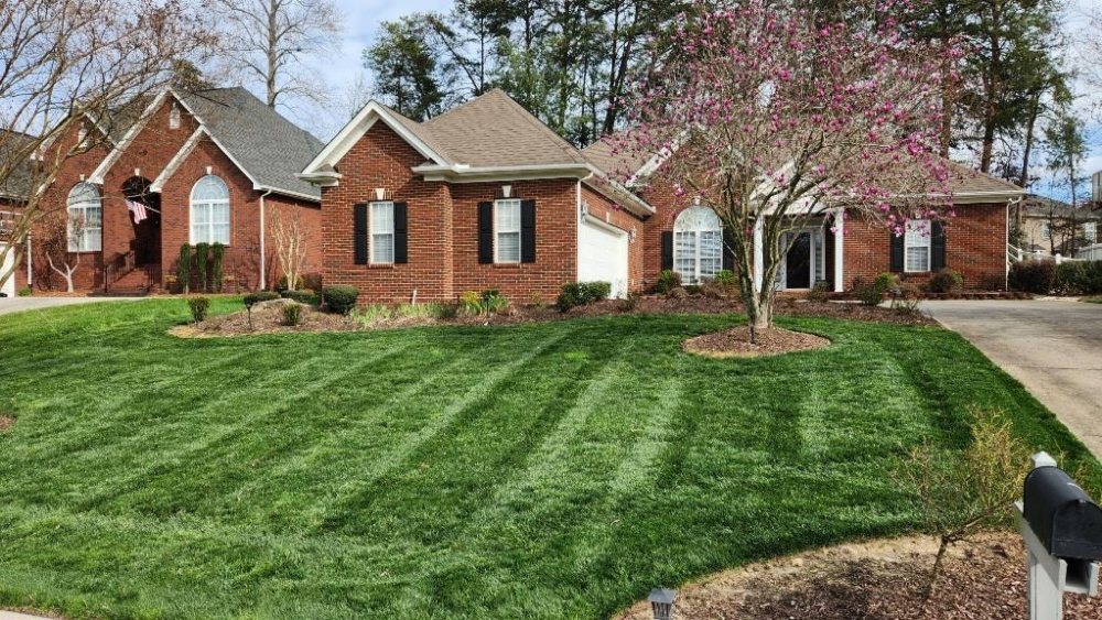CAROLINA’S LANDSCAPING Updated June 2024 13 Photos Indian Trail