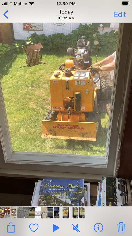 Razorback Stump Removal - tree service in Palatine, IL