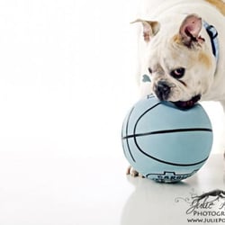 Julie Poole Photograpy - Julie's work!!