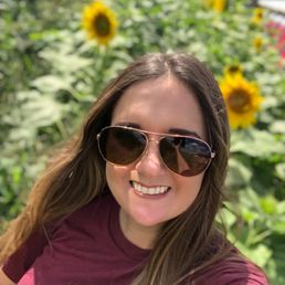 Sunflowers at the start of the corn maze