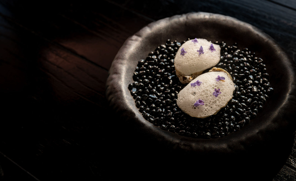 Stubborn Seed - Miami Beach by null