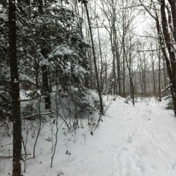 Long Lake Provincial Park - Dog Parks Near Me Long Lake Provincial Park - Dog Parks Near Me