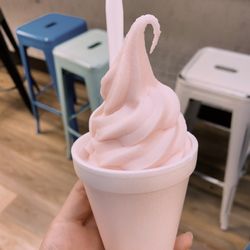 Yogurt Pump