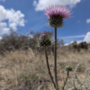 Lサイズ DOMINGO PT-1 ROUND MOUNTAIN PARK DOMINGO BACA TRAILHEAD 230 - Updated October 2025 - 67