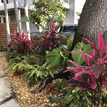 Cairo Landscaping & Tree Service - Landscape Design - Tree Services Near Me Cairo Landscaping & Tree Service - Landscape Design - Tree Services Near Me