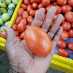 Hempstead Fruit Stand-Diiorio