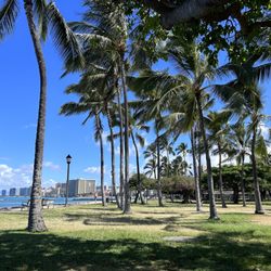 Beach  Sunset Yoga Hawaii - Waikiki - View from the class