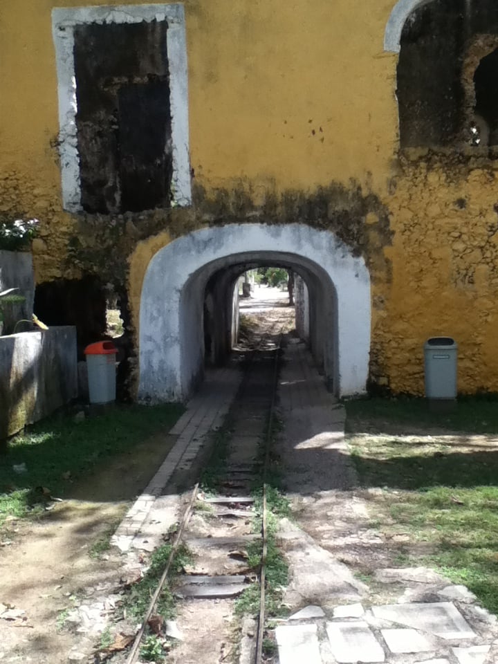 Reserva Ecológica Cuxtal