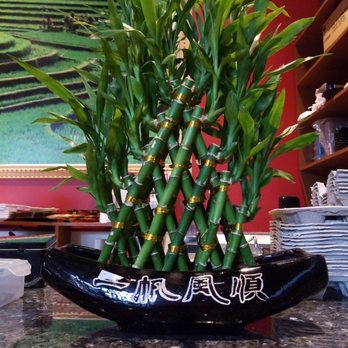 Rice Bowl Cafe - Chinese Near Me - Austin, Texas