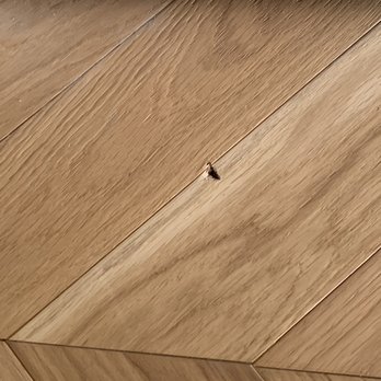 RISE GC - Damage to hardwood because of no protection while working - General Contractors Near Me RISE GC - Damage to hardwood because of no protection while working - General Contractors Near Me