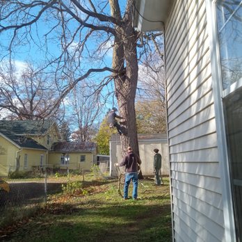 Forest Masters Tree Service - Tree Services Near Me Forest Masters Tree Service - Tree Services Near Me