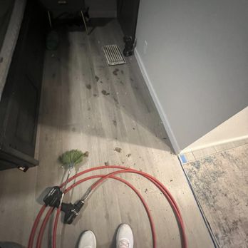 Breathe Better - Everything that came out of my vents - Air Duct Cleaning Near Me Breathe Better - Everything that came out of my vents - Air Duct Cleaning Near Me