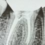 Photo of Rancho Dental Care