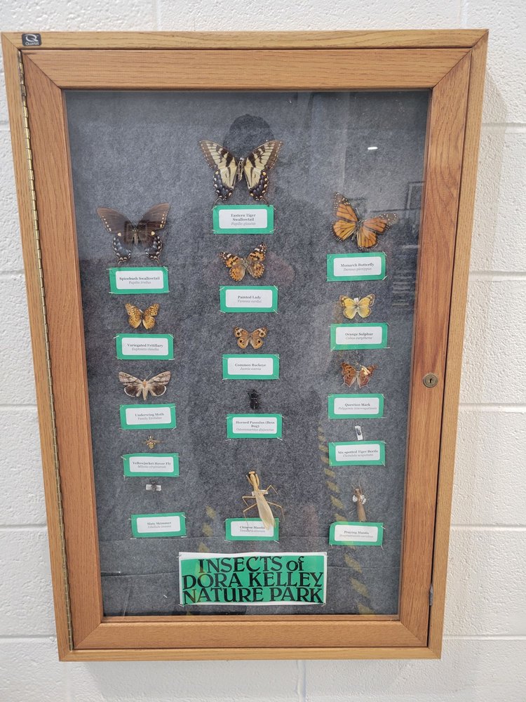 Jerome "Buddie" Ford Nature Center Logo