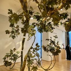 Bainbridge Island Museum of Art