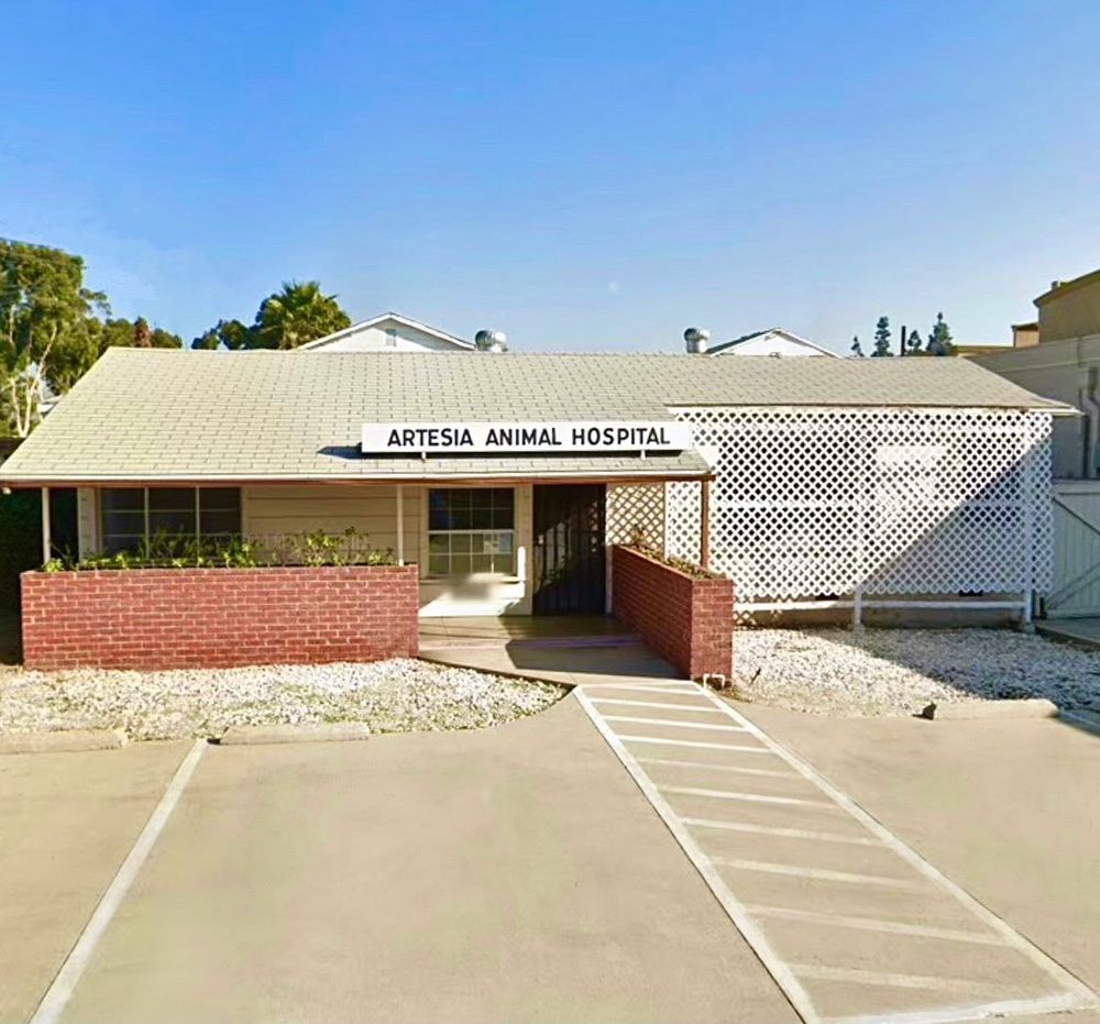 ARTESIA ANIMAL HOSPITAL Updated September 2024 20 Photos & 63 Reviews 20200 Pioneer Blvd