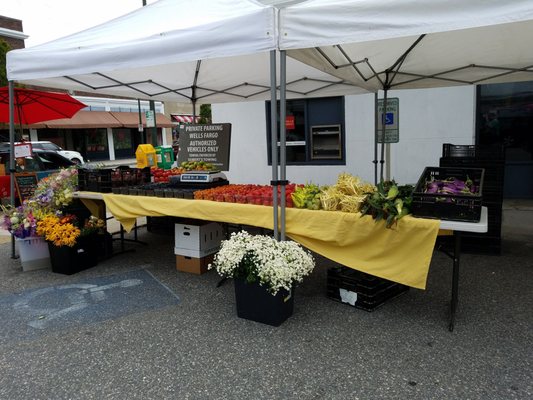 Carytown Farmers Market by null