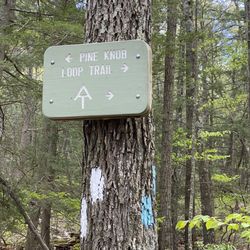 Housatonic Meadows State Park - Sogn