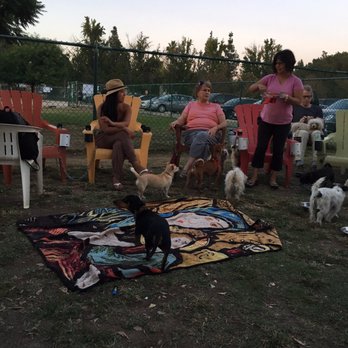 Sitters O Critters - Dog Walkers Near Me Sitters O Critters - Dog Walkers Near Me