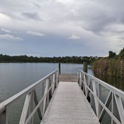 Young Pine Community Park