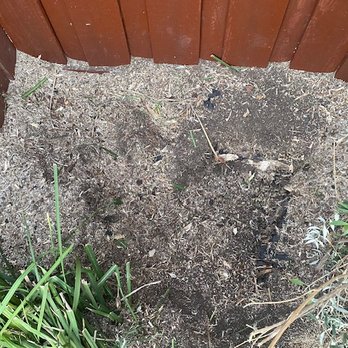 Lorenzo's Tree Service - AFTER - hole in the ground - Tree Services Near Me