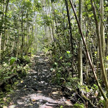 Ha'ena Beach - aka Shipman Beach - Trail - Hiking Near Me - Keaau, Hawaii Ha'ena Beach - aka Shipman Beach - Trail - Hiking Near Me - Keaau, Hawaii