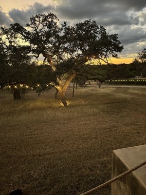 Barons CreekSide by null