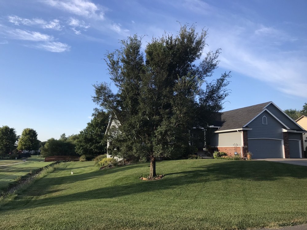 ARBOR MASTERS TREE SERVICE 10128 S Emma Creek Rd, Sedgwick, Kansas