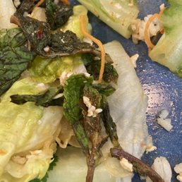 You can see the rancid mint and onion, plus the tired looking lettuce ribs. We had to trash it. You can see the rancid mint and onion, plus the tired looking lettuce ribs. We had to trash it.