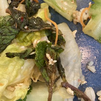 Rudee's Thai Cuisine - You can see the rancid mint and onion, plus the tired looking lettuce ribs. We had to trash it. - Thai Near Me - Wynnewood, Pennsylvania Rudee's Thai Cuisine - You can see the rancid mint and onion, plus the tired looking lettuce ribs. We had to trash it. - Thai Near Me - Wynnewood, Pennsylvania
