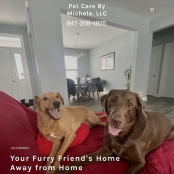 Pet Care By Michele - Pet Boarding Near Me Pet Care By Michele - Pet Boarding Near Me