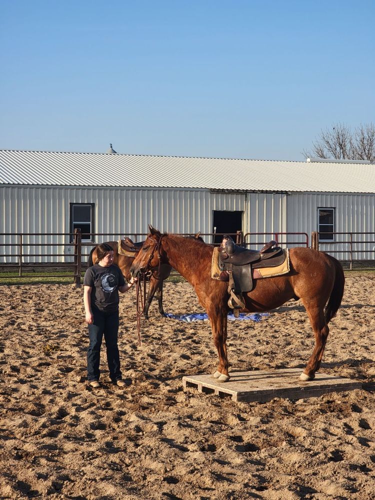 H&H Equine - equestrian in Stacy, MN