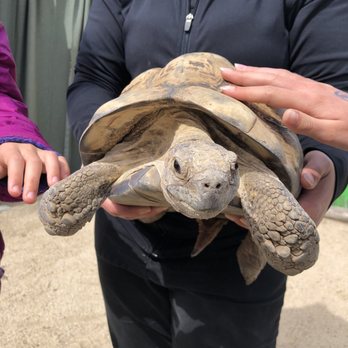 America's Teaching Zoo - Zoos Near Me - Moorpark, California