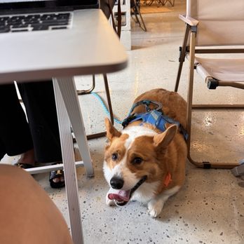 Diamond Coffee N’ Pastry - Desserts Near Me - San Francisco, California